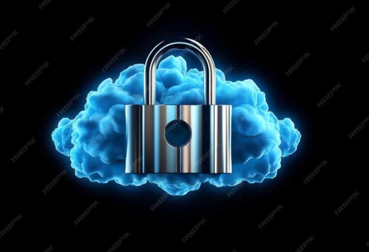 The Rise of Subscription-Based Privacy Tools